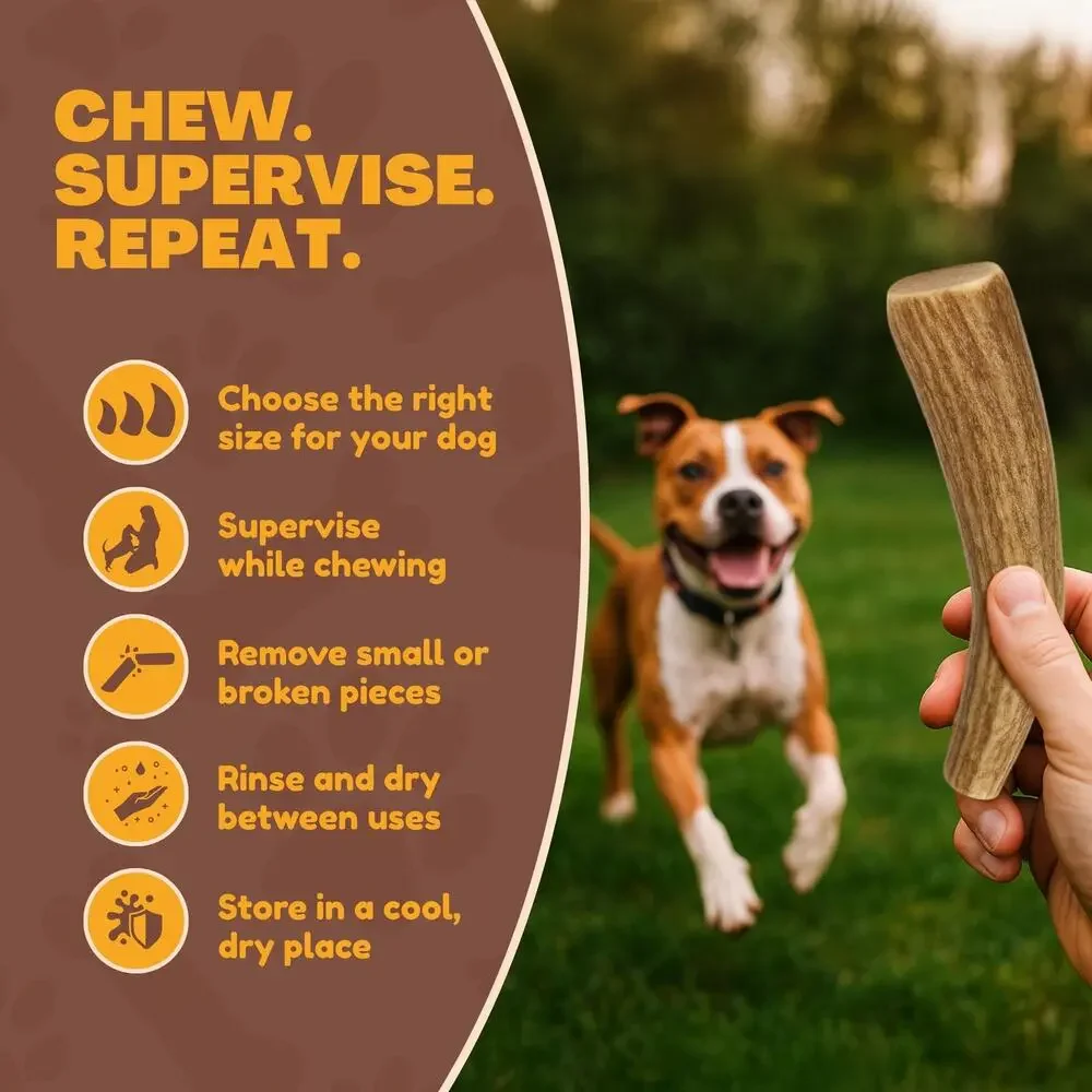 NWT WhiteTail Naturals - 3 Pack Medium Dog Chews - All Natural Antlers for Dogs